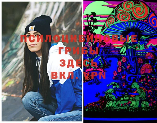шишки Абинск