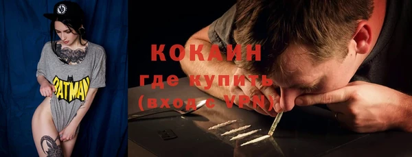 кокс Алексин